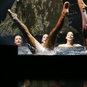 Νίκος Βέρτης - ΥΤΟΝ