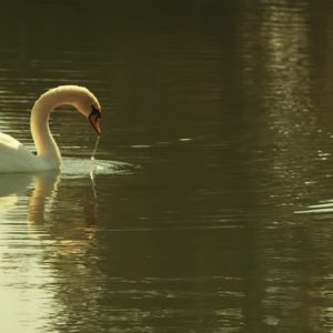 Μείνε - νέο βίντεο κλιπ των REC